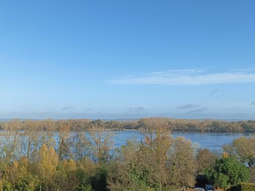 Gite des Perreyeurs - maison troglodyte avec vue sur Loire