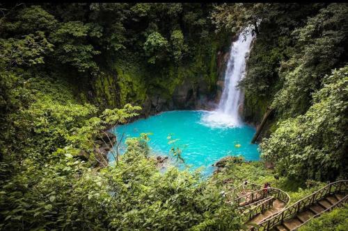 Cabaña bosque río celeste