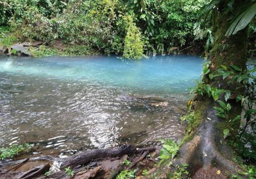 Cabaña bosque río celeste