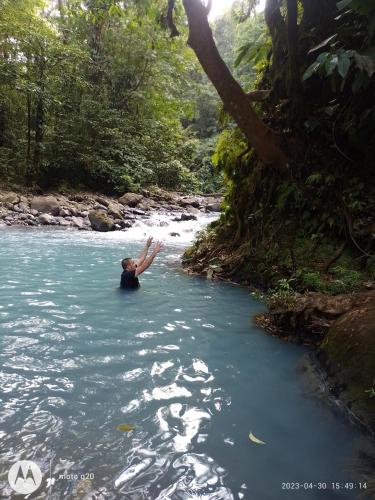 Cabaña bosque río celeste