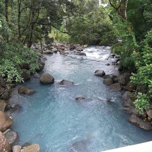 Cabaña bosque río celeste