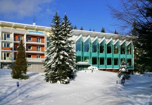 Interhotel Montana - image 10