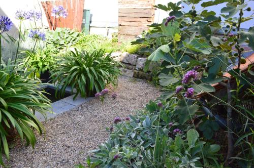 Winzerloft Winzerloft