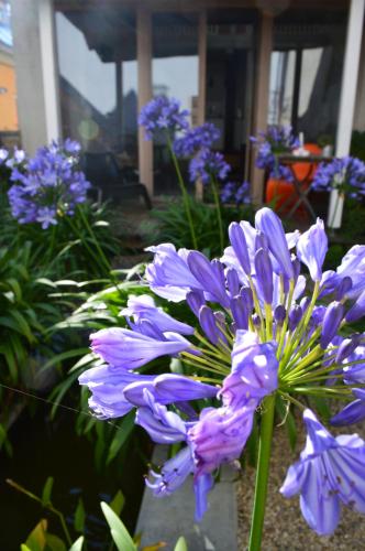 Winzerloft Winzerloft