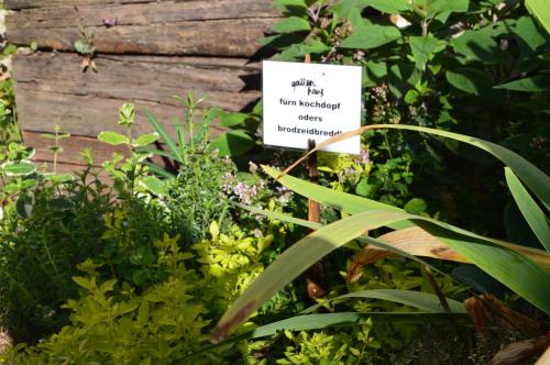 Winzerloft Winzerloft