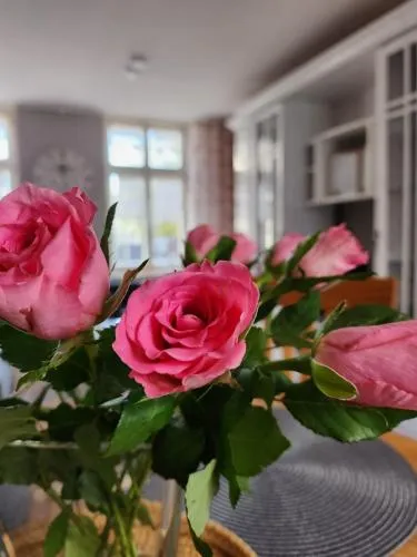 Ferienwohnung im Konvent in Quedlinburg, Deutschland
