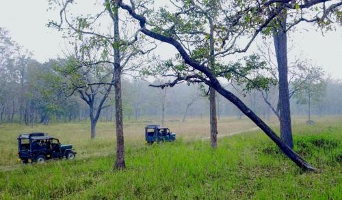 Greens Vista Wayanad - Premium Homestay Near Natural Stream