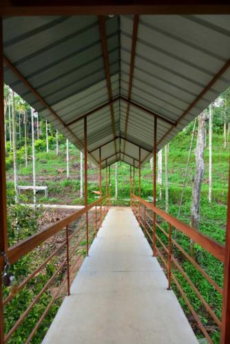 Greens Vista Wayanad - Premium Homestay Near Natural Stream