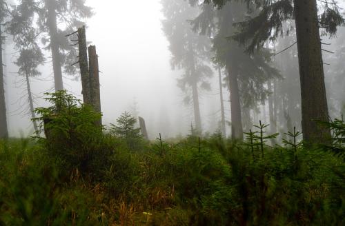 Horská bouda Krakonoš