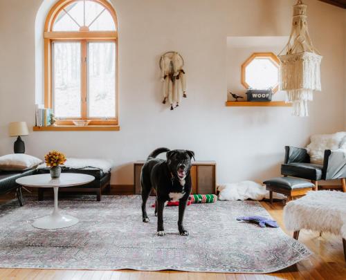 Finnwood - A Pet Friendly Woodland Retreat in Suttons Bay, USA