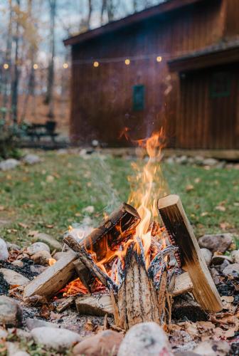 Finnwood - A Pet Friendly Woodland Retreat in Suttons Bay, USA