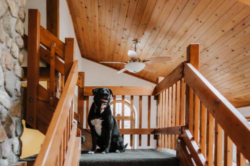 Finnwood - A Pet Friendly Woodland Retreat in Suttons Bay, USA