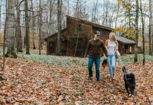 Finnwood - A Pet Friendly Woodland Retreat in Suttons Bay, USA