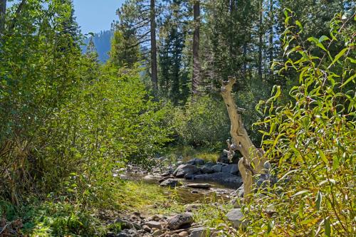 On the Edge at Alpine Meadows - Fireplace- Mountain Views- Great Location! Shuttle Service! in Alpine Meadows (CA)