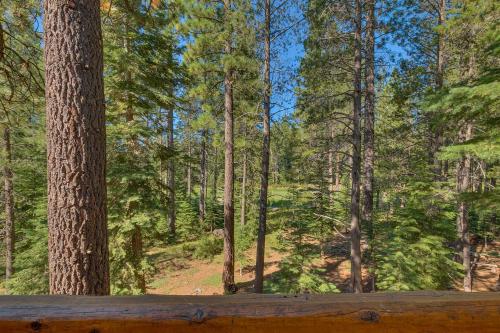 Ski View at Tahoe Donner - Stunning 4 BR w Private Hot Tub - HOA Amenities