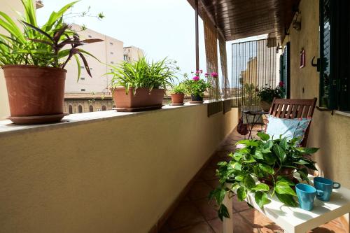 Attico Finocchiaro - Terrazza in Centro Wifi Free, Palermo (foto 6)