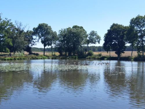 Gîte La Chapelle-Fortin, 5 pièces, 8 personnes - FR-1-581-48