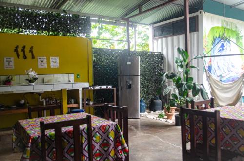 kuhinja, The Jungle Container in Quepos
