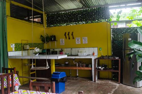 kuhinja, The Jungle Container in Quepos