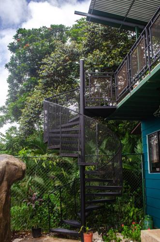 The Jungle Container in Quepos