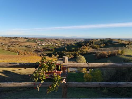 Cantina Visconti - Agriturismo - Hotel - Vigoleno