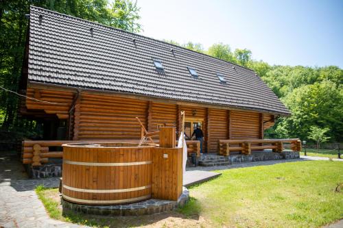 Ieeja, Suior Resort Cota 1000 in Baia Sprie