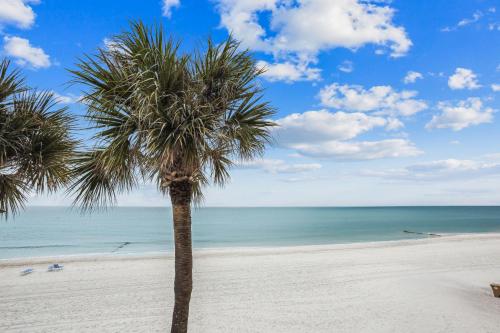 Trillium #2B - image 2