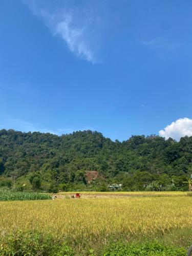 Mai Anh Homestay - 주변 환경