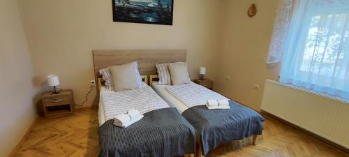 Andika Apartman Szajk in Szajk