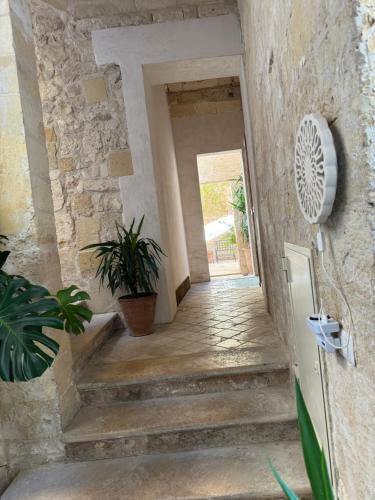 LuLeccio, Lecce (foto 4)