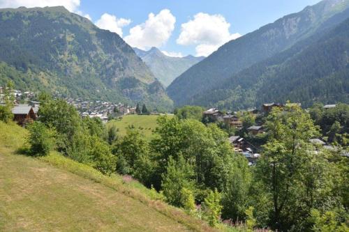 Vue exceptionnelle, piscine, spa, fitness - Location saisonnière - Champagny-en-Vanoise