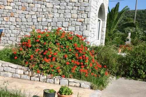 Porto Ageranos Apartment - image 6