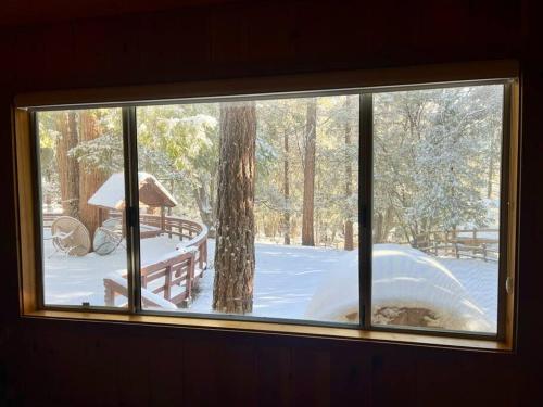 Serene and Magical Cabin w/Barrel Sauna and Fireplace