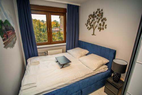 Apartament Książęcy przy Pałacu - klimatyzacja