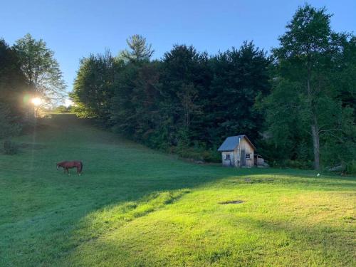 The Creek Cabin at Sky Hollow in Ročestera (VT)