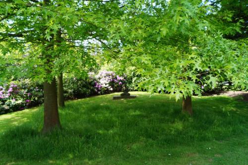 Eersel's Groen - image 10