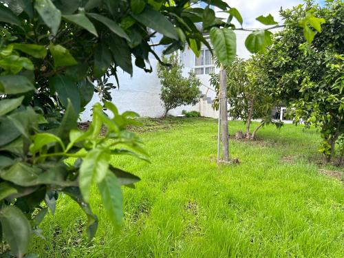 Casa La Oliva Casa La Oliva