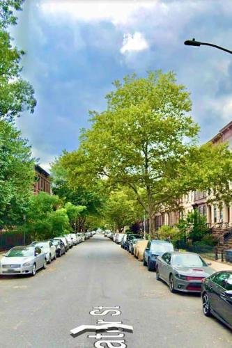 Relaxing & cozy SPA. apt in Brooklyn mins to MHTN in Brooklyn, USA