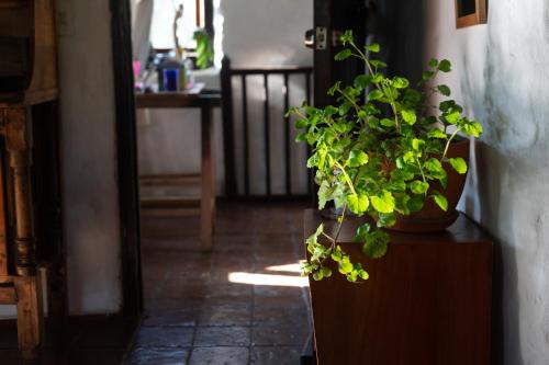 Espacio Pueblo. Galería rural