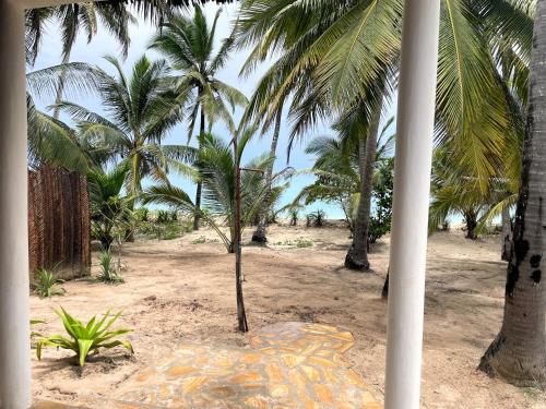 Dārzs, Jumamosi Beach Villa in Pangani