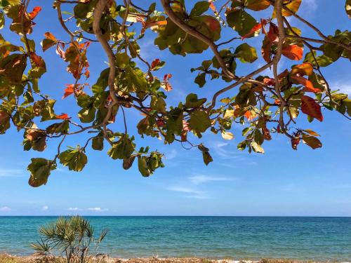 Skats, Jumamosi Beach Villa in Pangani