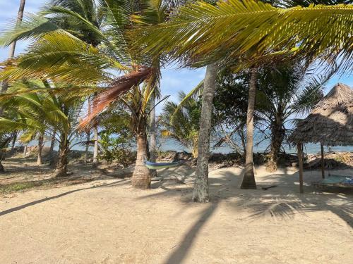 Dārzs, Jumamosi Beach Villa in Pangani