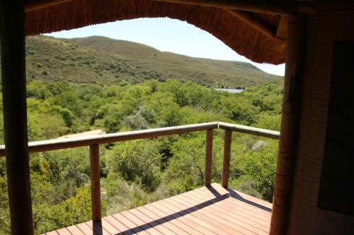 Garden Route Safari Camp