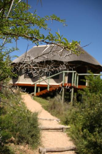Garden Route Safari Camp Room Type - Luxury Tent
