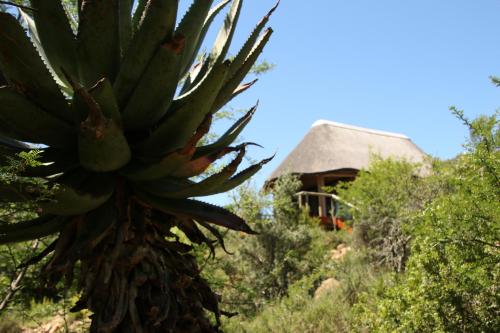 Garden Route Safari Camp