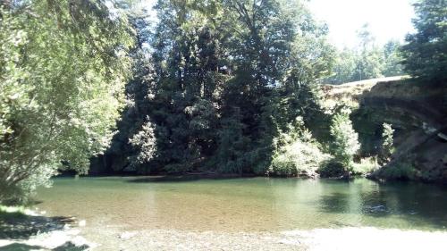 Cabañas Rio Liucura - Termas De Huife