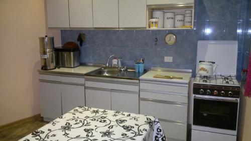 virtuve, Guest House Besarioni in Borjomi