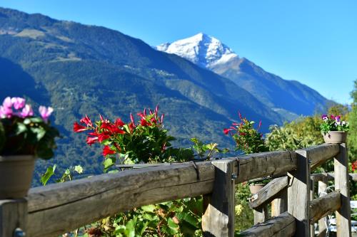 RUSTICO VIGNA casa vacanze