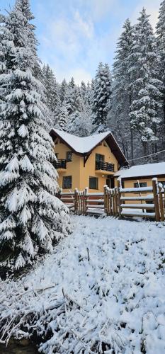 周邊環境, Casa Sinca in 蒂米蘇爾德約斯