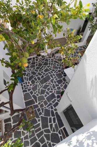 Juliano luxury apartments, port of Naxos